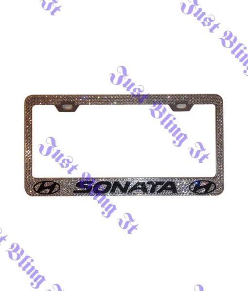 sonata license plate