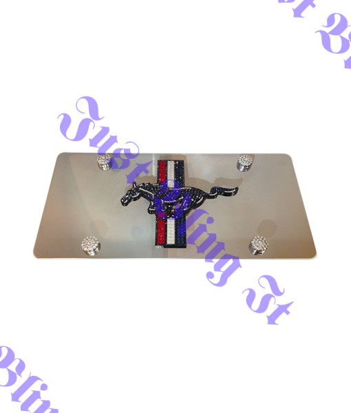 mustang front plate 1